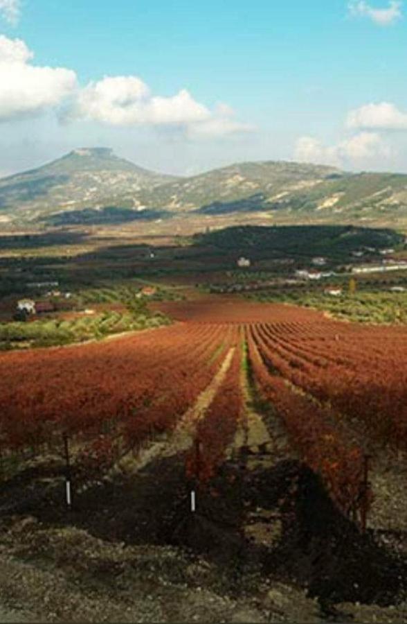 Georgia'S Village House Kondostavlos Exteriér fotografie